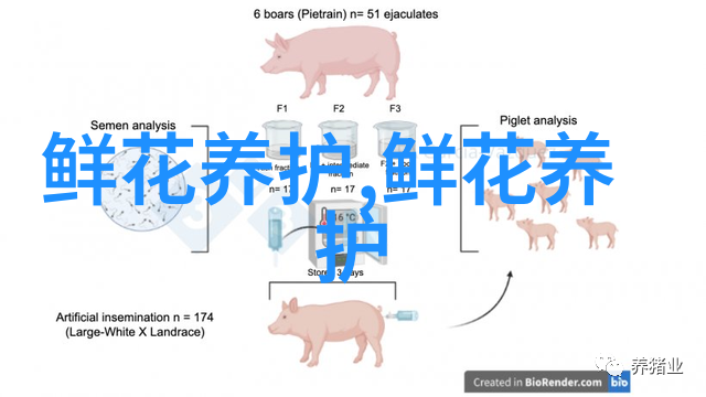 紫罗兰