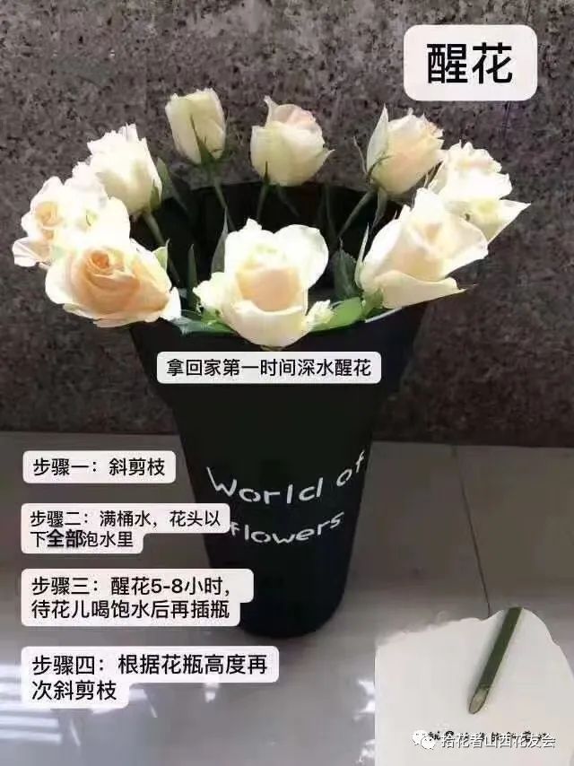 鲜花养护_鲜花养护步骤示意图_鲜花养护方法/