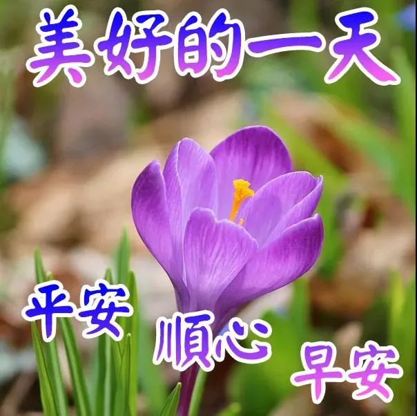 暖语祝福心字怎么写_暖心祝福语大全简短10个字_祝福语8个字暖心/