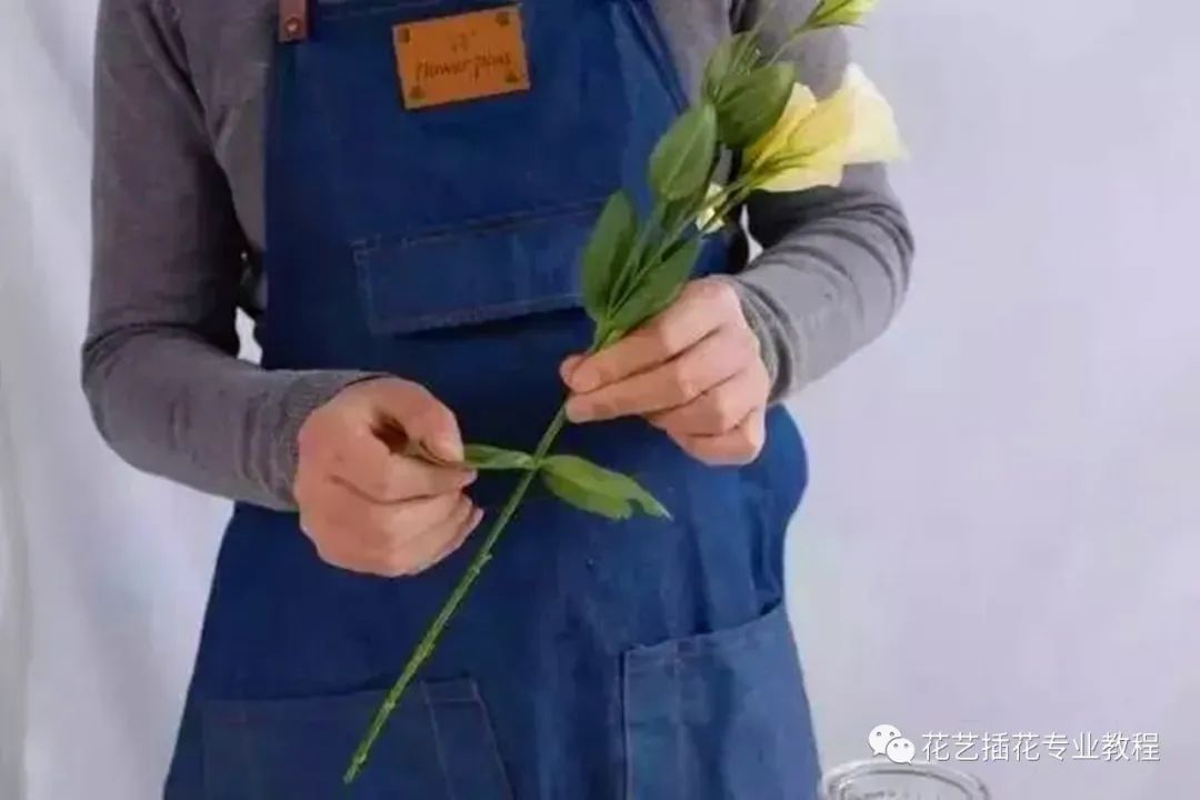 鲜花养护_鲜花养护保鲜法_玫瑰鲜花养护/