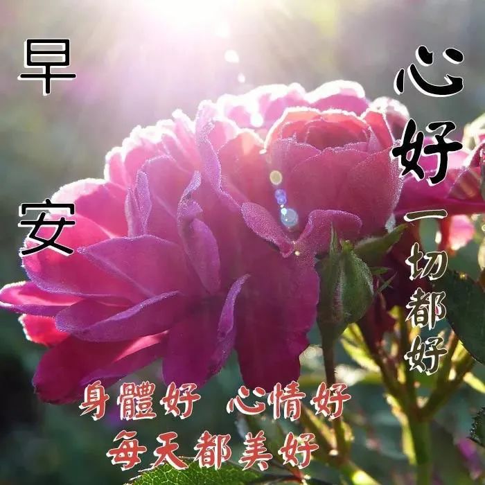 暖语祝福心字怎么写_暖心祝福语大全简短10个字_祝福语8个字暖心/