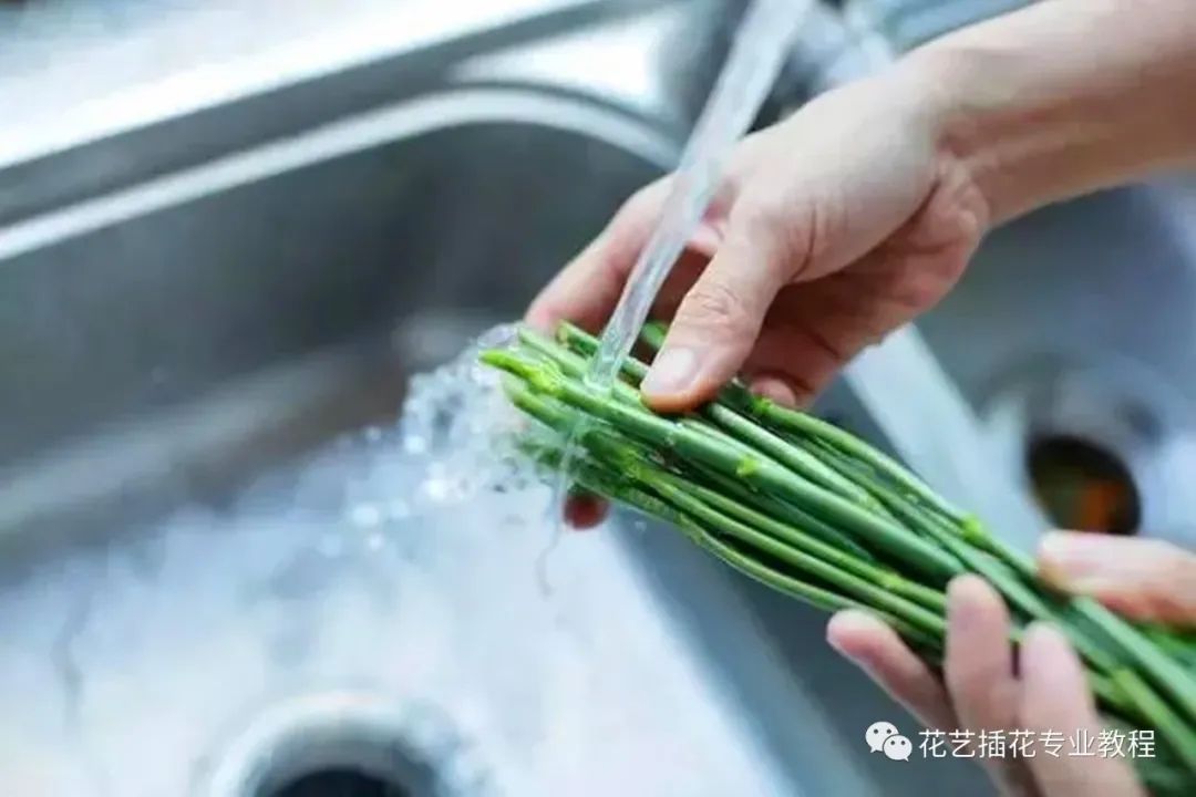 鲜花养护_玫瑰鲜花养护_鲜花养护保鲜法/