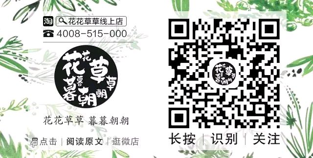 睡莲鲜花养护_鲜花养护_鲜花帝王花怎么养护/