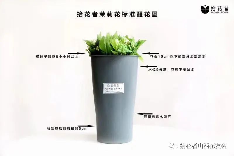 鲜花养护方法_鲜花养护_玫瑰鲜花养护/