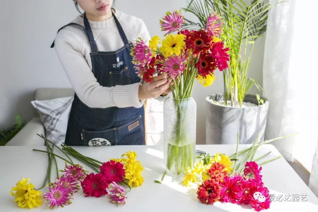 睡莲鲜花养护_鲜花养护_鲜花帝王花怎么养护/