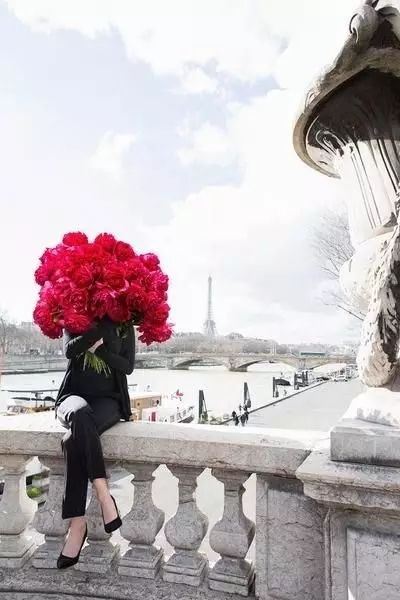 鲜花养护_向日葵鲜花养护方法_鲜花养护常用方法/