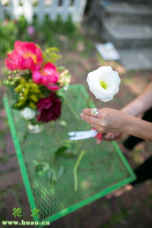 鲜花养护_鲜花养护保鲜法_鲜花养护小知识/