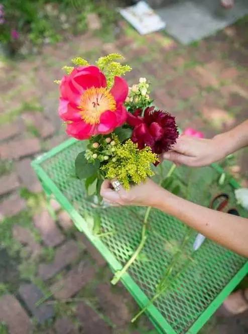 鲜花养护方法_鲜花养护_鲜花养护保鲜法/