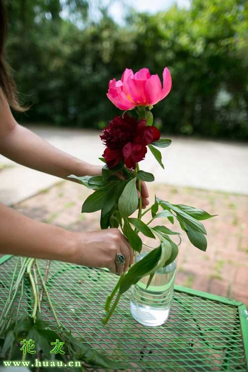 鲜花养护保鲜法_鲜花养护小知识_鲜花养护/