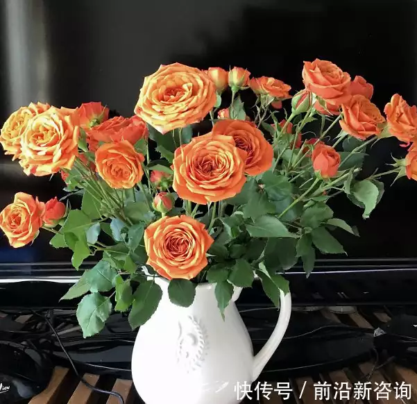 鲜花养护小知识_康乃馨鲜花养护_鲜花养护/