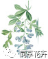 鲜花养护方法_鲜花养护小知识_鲜花养护/