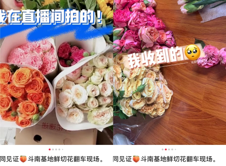 玫瑰节是什么_节日的玫瑰花_节日玫瑰花/