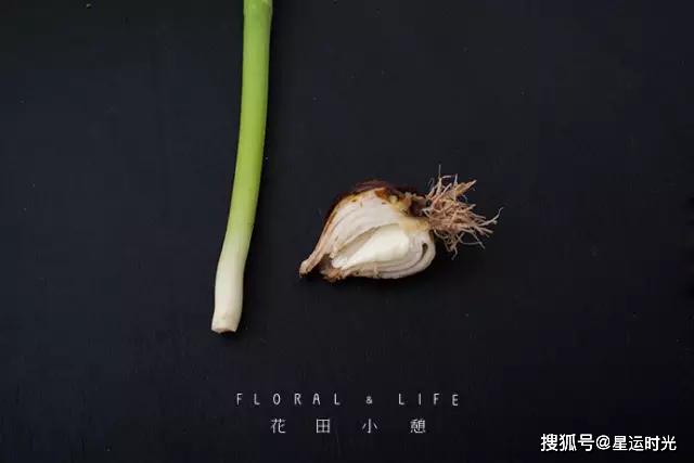 鲜花养护小知识_鲜花养护保鲜法_鲜花养护/