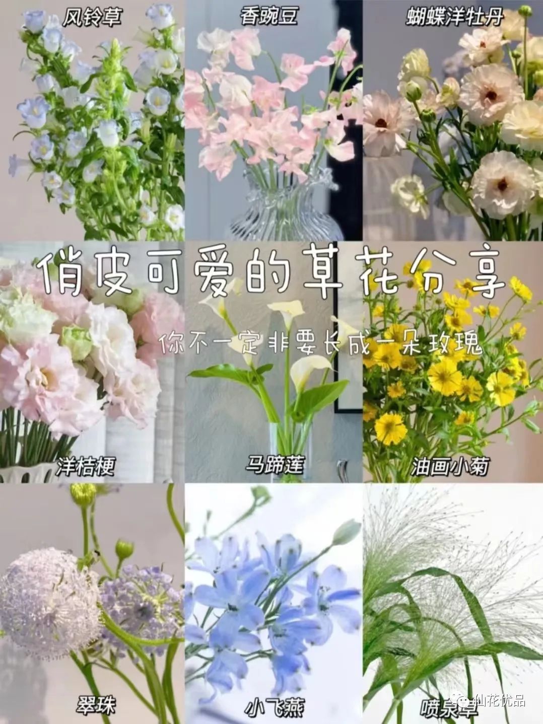 鲜花养护_鲜花养护保鲜法_鲜花养护方法/