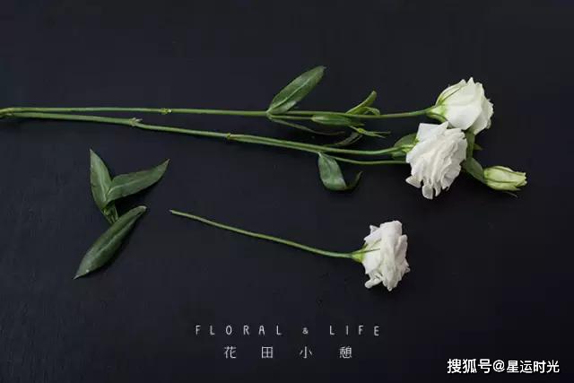 鲜花养护_鲜花养护保鲜法_鲜花养护小知识/