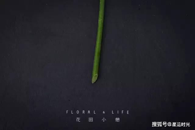 鲜花养护保鲜法_鲜花养护小知识_鲜花养护/