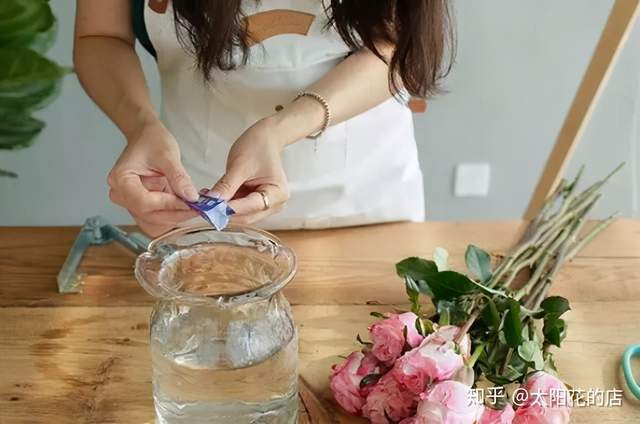 鲜花养护保鲜法_鲜花养护_康乃馨鲜花养护/