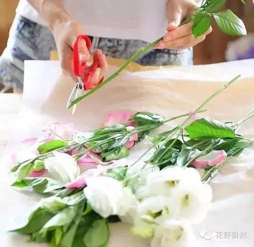 鲜花养护步骤示意图_康乃馨鲜花养护_鲜花养护/