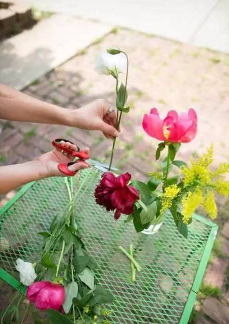 鲜花养护_鲜花养护方法_鲜花养护保鲜法