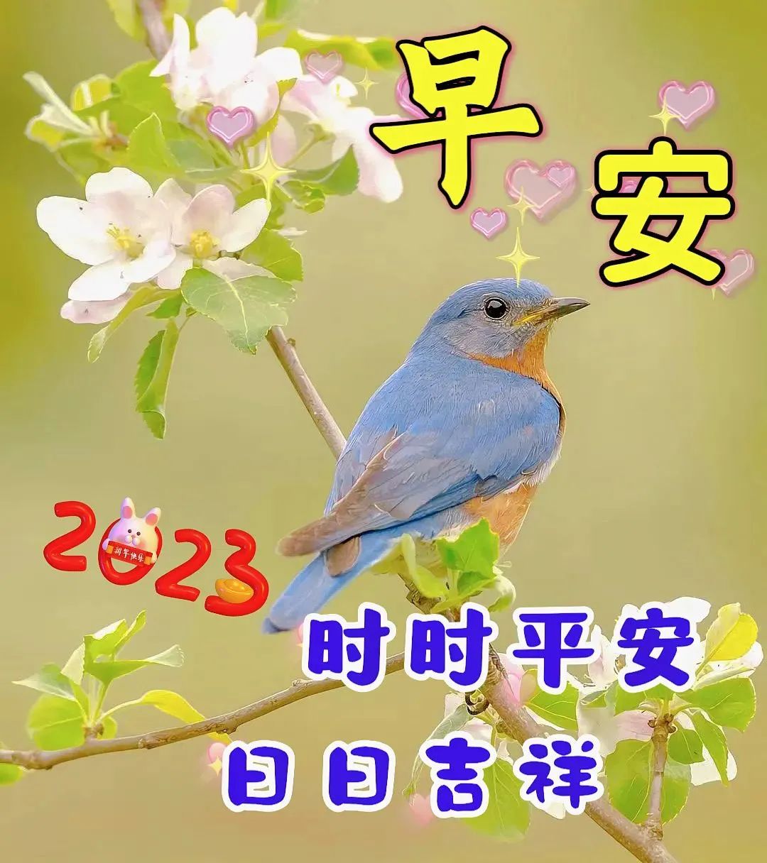 优美词语和优美句子_早上好祝福语优美句子_爱情语术优美句子