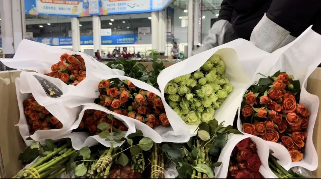 全国花卉市场批发市场进货渠道_花卉批发市场从哪拿货_花卉批发市场进货渠道