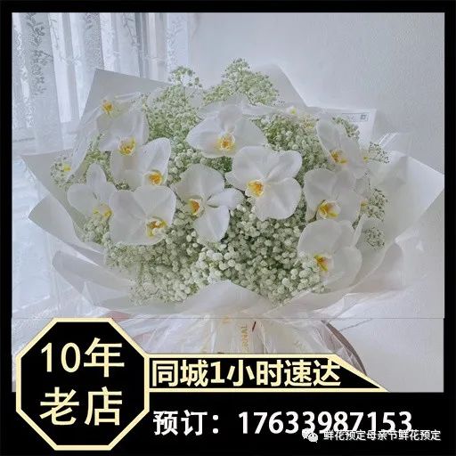 鲜花app软件下载_鲜花app_下载寻梦鲜花app