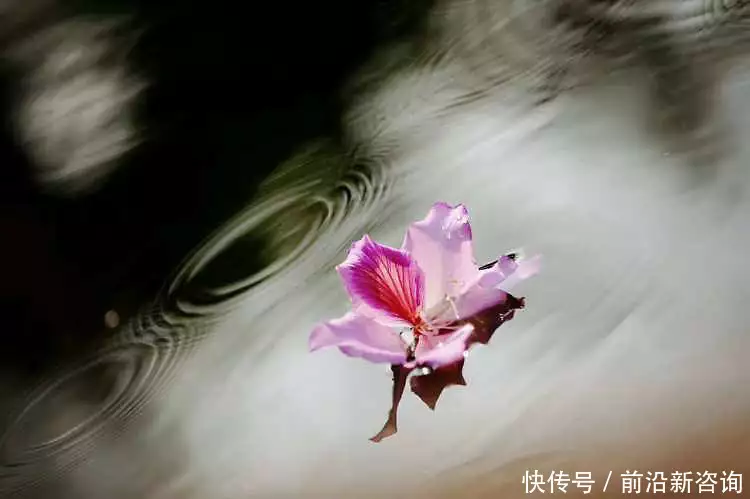 花语故事_水仙花的花语故事_花语故事大全