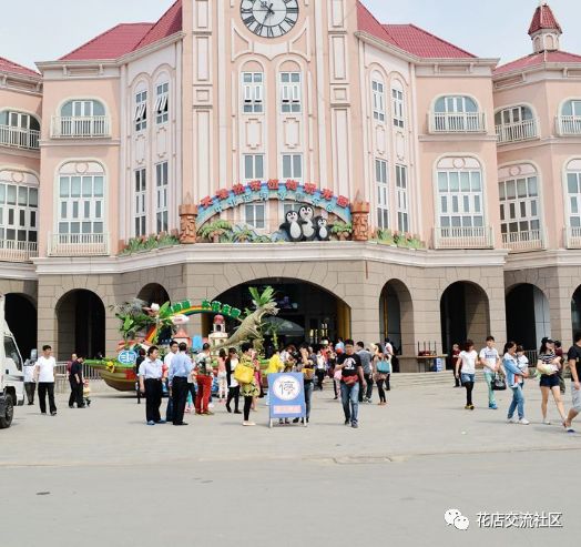 花卉批发进货渠道市场分析_花卉批发市场从哪拿货_花卉批发市场进货渠道