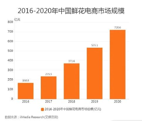 节日玫瑰花_玫瑰节是什么_节日的玫瑰花