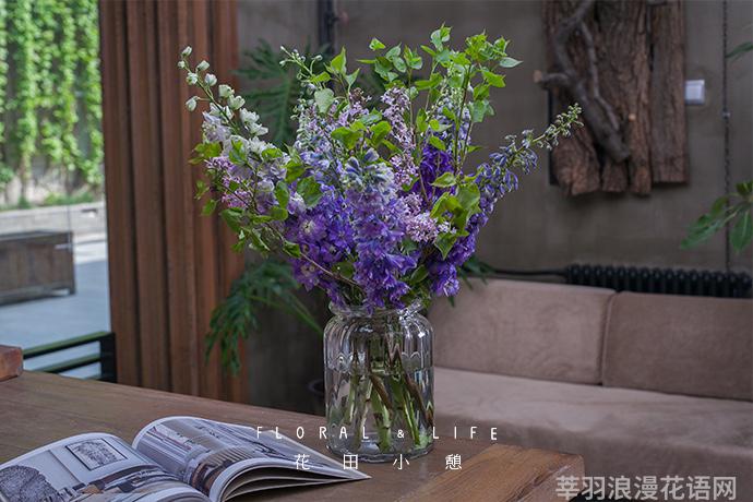 鲜花养护步骤示意图_鲜花养护_睡莲鲜花养护